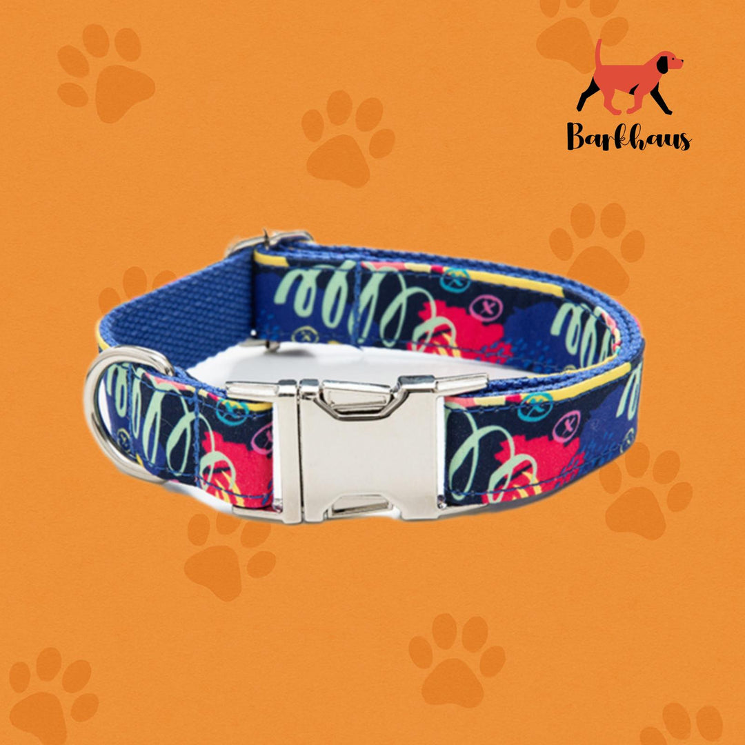 Barkhaus Everyday Comfort Collar & Leash Set
